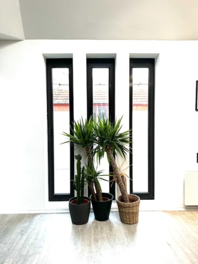 an image of something