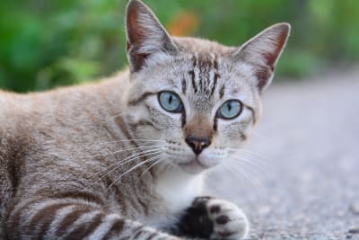 an image of something