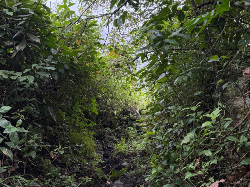 Montaña de Fuego 15K 2026