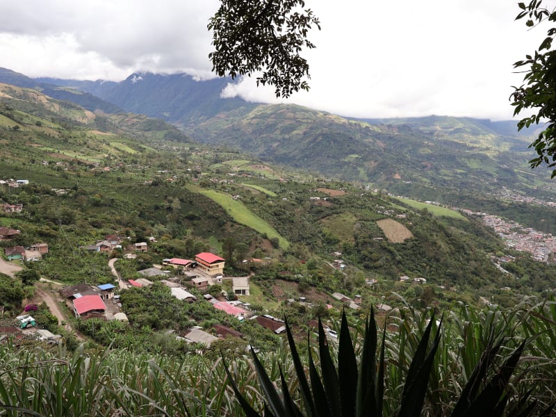 Montaña de Fuego 15K 2026