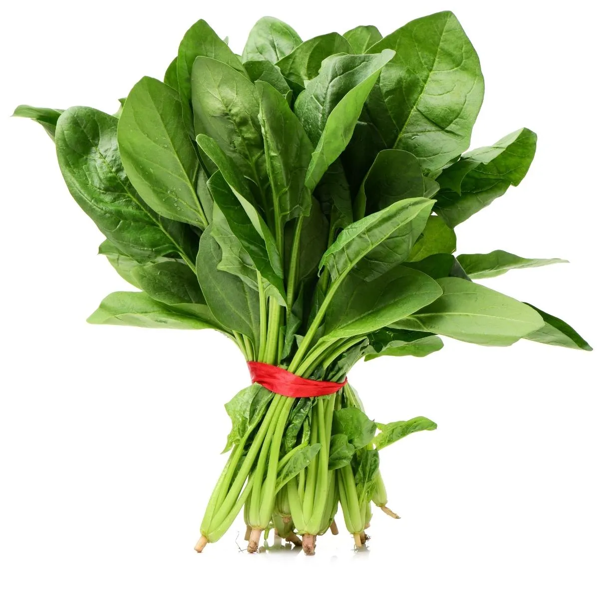 palak