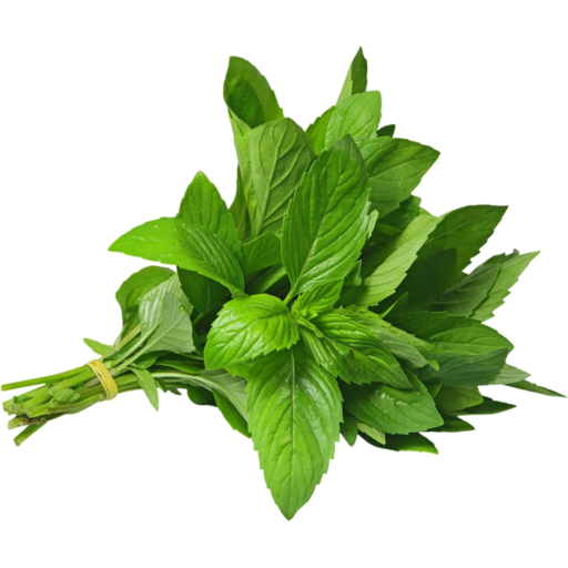 Mint (pudina)