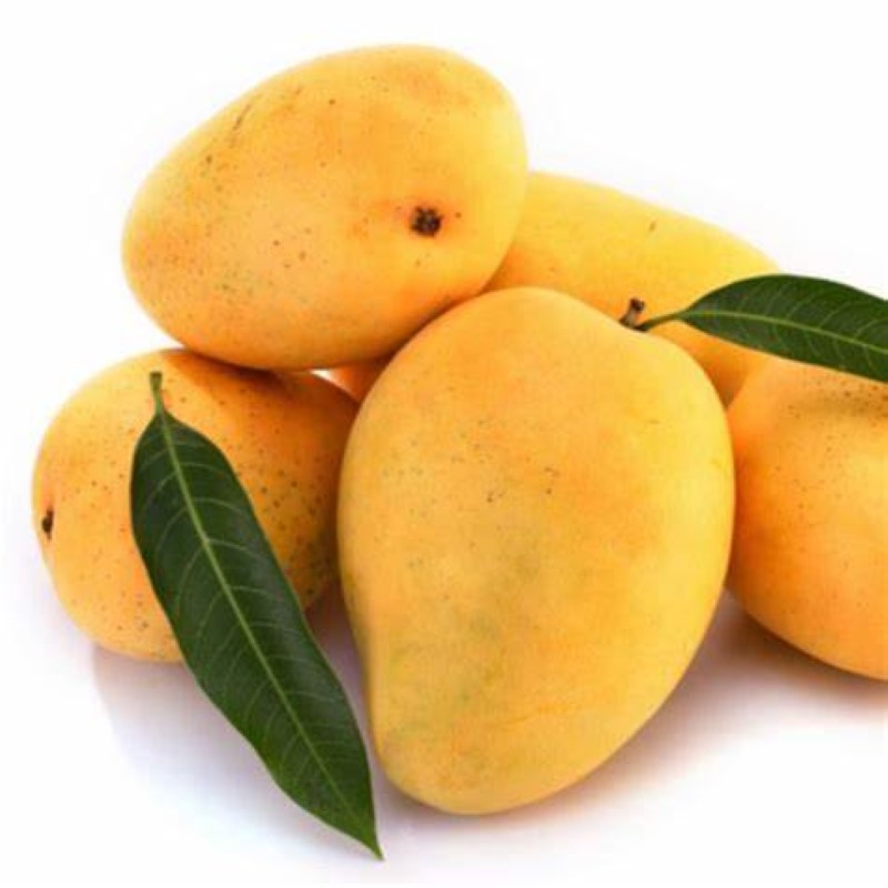 Neelam Mango