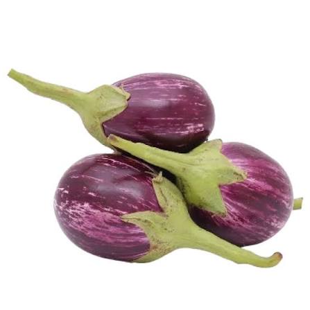 BRINJAL (BANGAN)