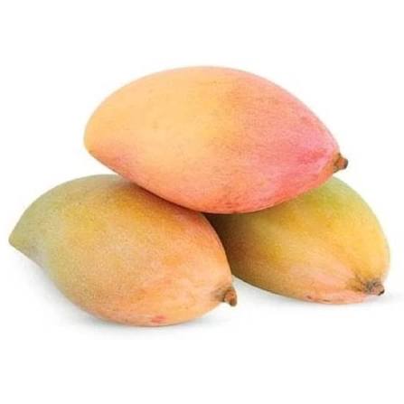 Totapuri Mango