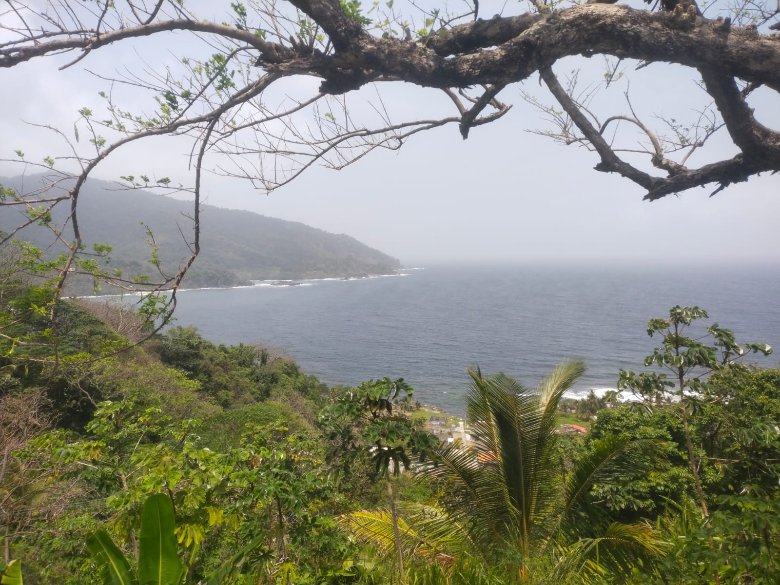 Cultura y naturaleza en Necoclí