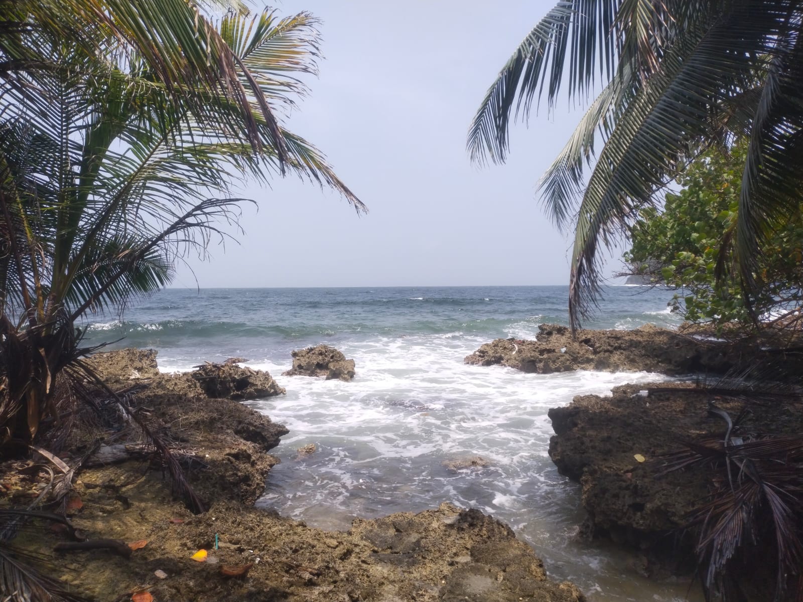 Playa de Necoclí con palmeras y sol