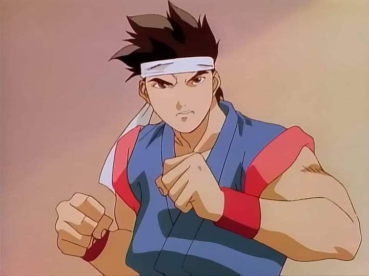 المقاتل النبيل | Virtua Fighter cover artwork