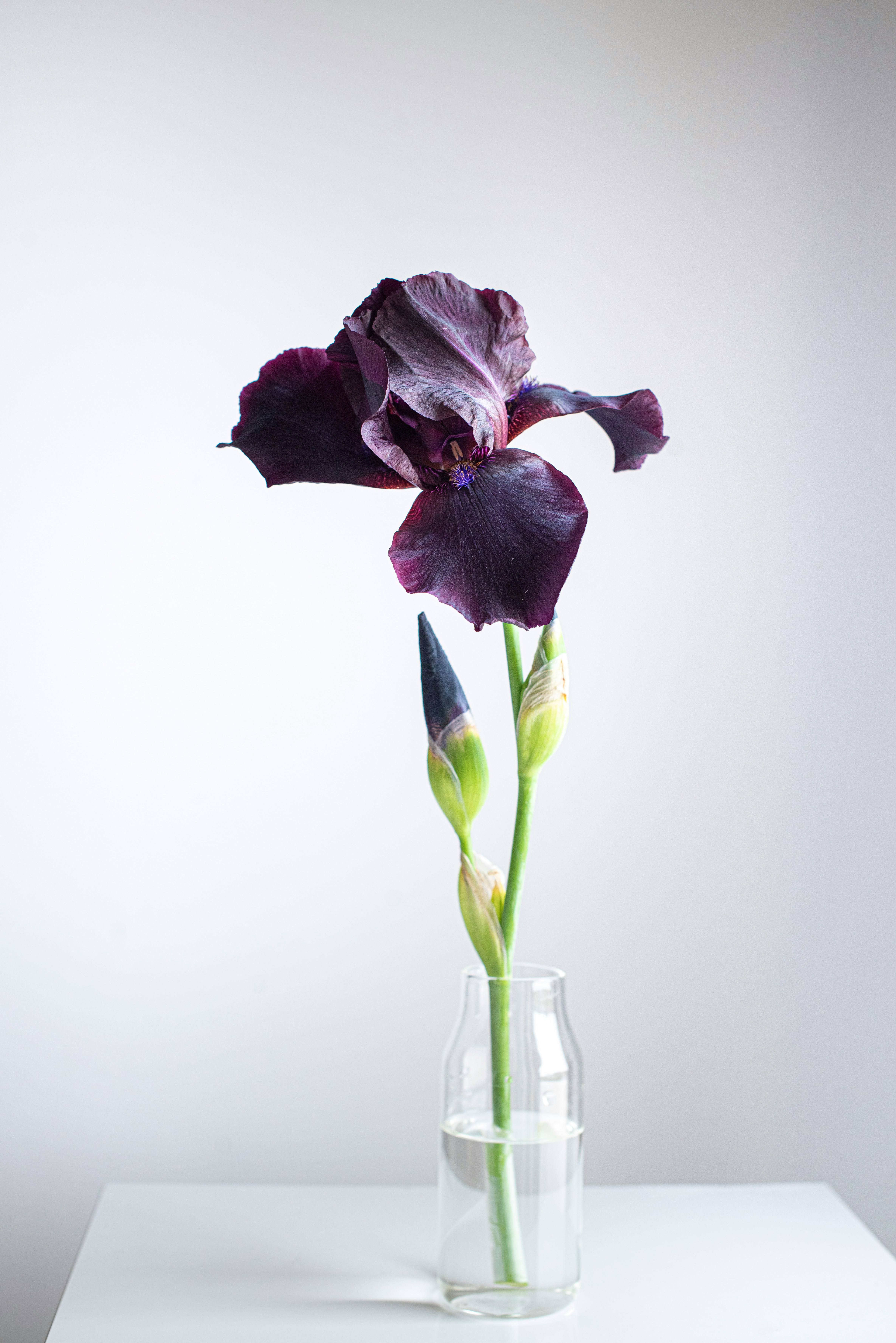 Home Decor 1