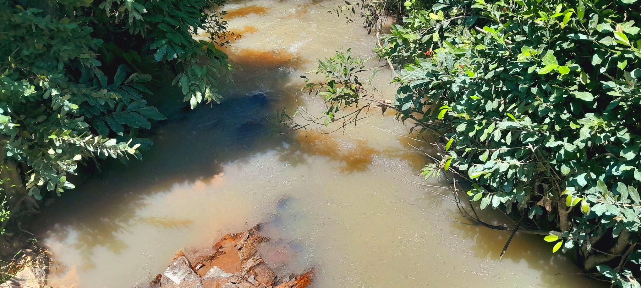 The Mwense Mine pollution and the damage it has caused to biodiversity and people’s livelihoods!