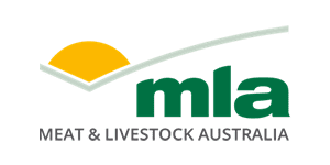 MLA
