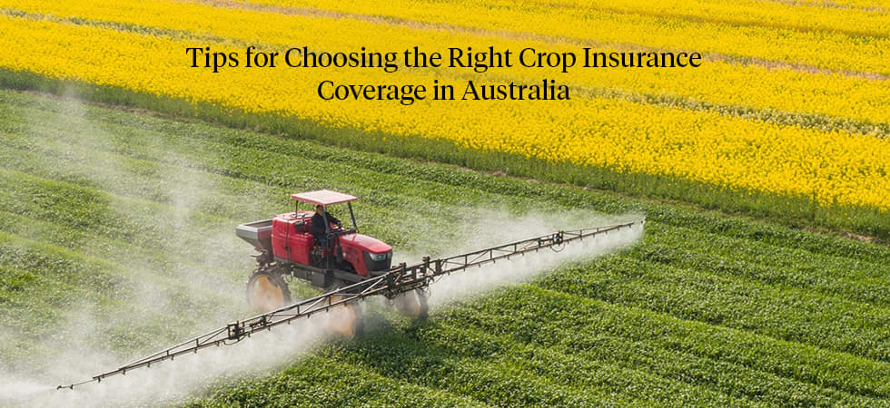 Choosing the Right Crop Insurance Coverage in Australia