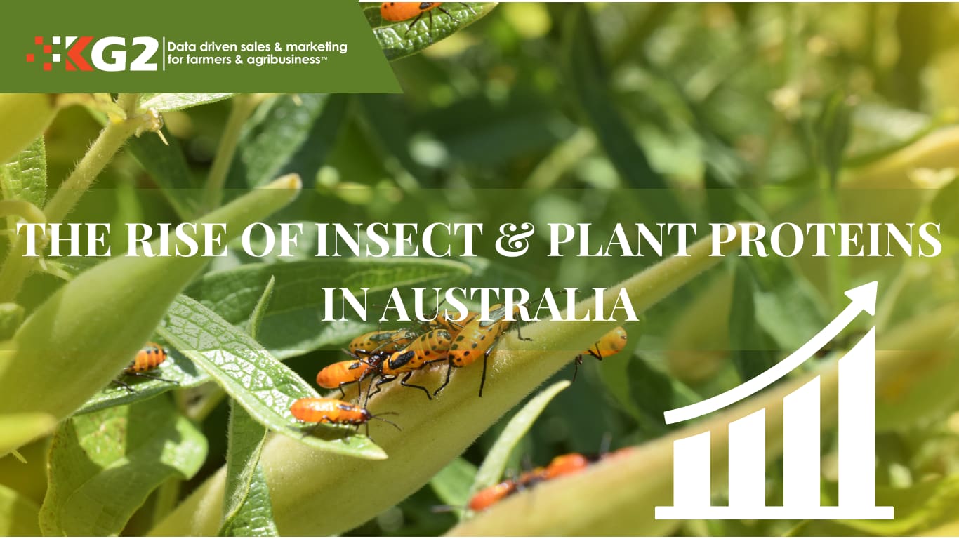 The Rise of Insect & Plant Proteins in Australia - KG2