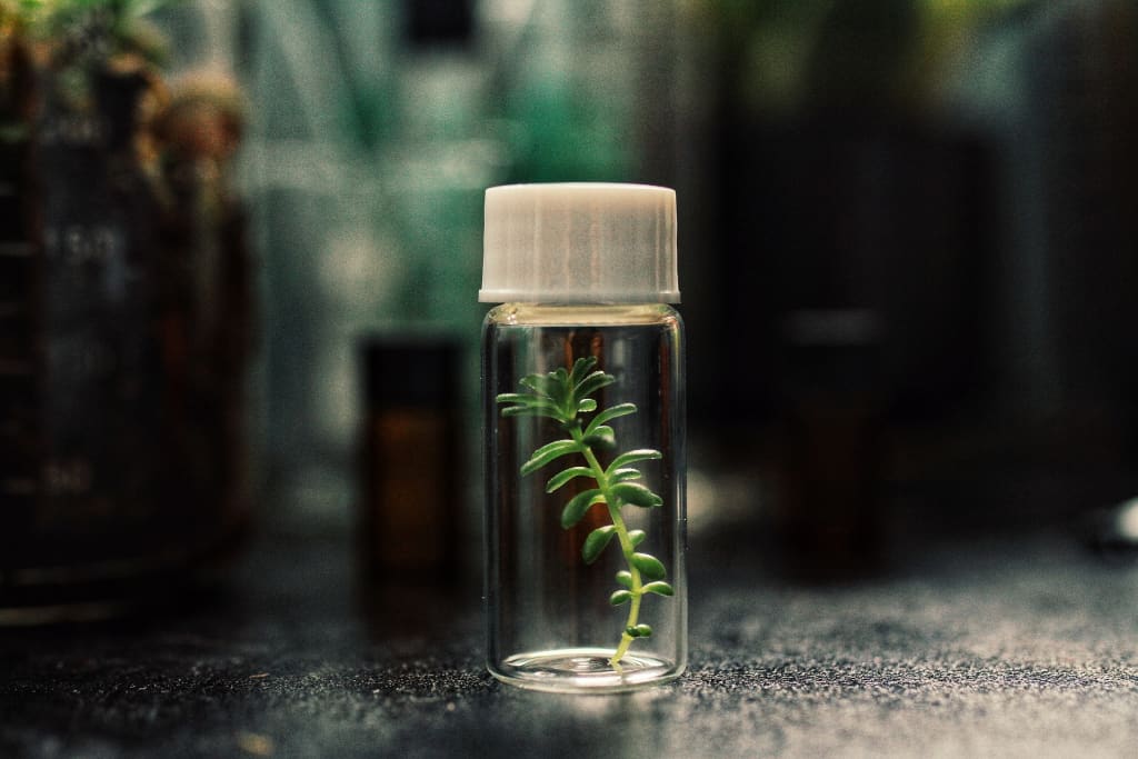 Top 5 Australian Fram Biotech Companies