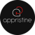 Appristine Technologies logo