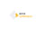 Avra Software logo