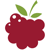 Berry Interesting Productions, Inc. logo