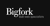 Bigfork Ltd logo