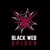 Black Web Spider - Web Design Agency logo