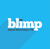 Blimp logo