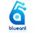 Blueant Solutions logo