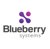 Blueberry Systems logo