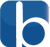 Bluelook:Web & mobile app development Logo