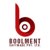 Boolment Software Development Pvt Ltd. logo