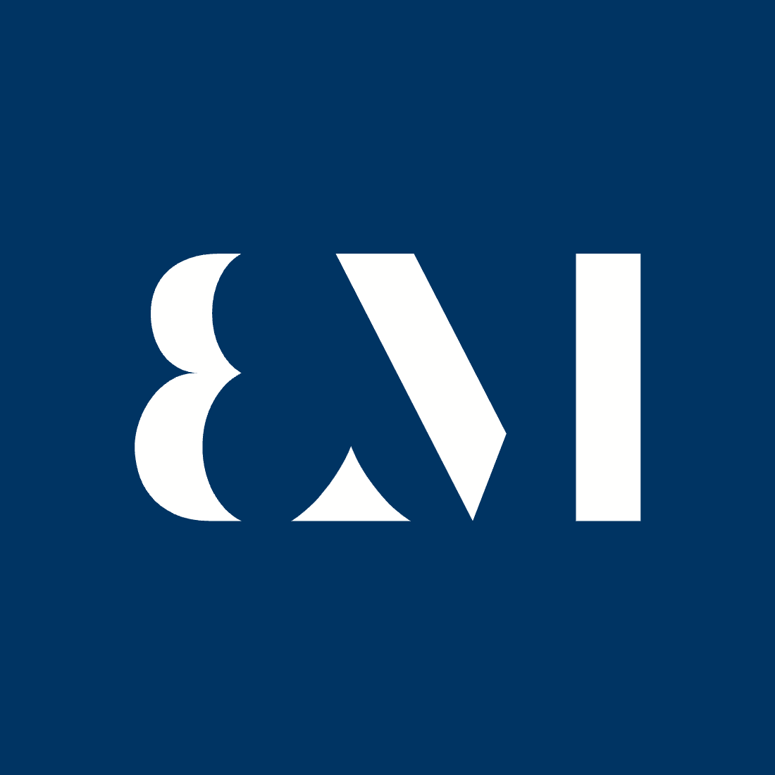 Brick & Monitor logo