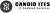 CANDID ITES logo