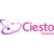 Ciesto solutions logo