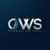 CWS Technology Inc. logo