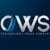 CWS Technology LLC logo