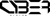Cyber Vision Development Studio™ logo