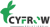 CYFROW SOLUTIONS logo