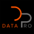 Data Pro Software logo