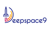 DeepSpace9 Technologies Logo