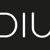 DIU MarTech Solutions GmbH logo