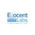 Ellocent Labs IT Solutions Private Limited logo