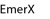 EmerX Services Private Limited logo