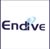 Endive Software Logo