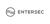 Entersec logo