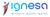 IGNESA logo