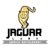 Jaguar Labs logo