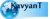 Kavyant Technologies logo