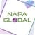 NAPA - IT Services and Consulting logo