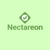 Nectareon Technologies logo