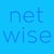 NETWISE DIGITAL MARKETING AGENCY logo