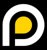 Pluro logo