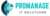 Promanage It Solutions Logo